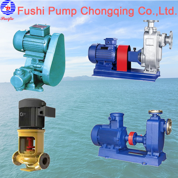 Product_Fushi Pump Chongqing Co.,Ltd.